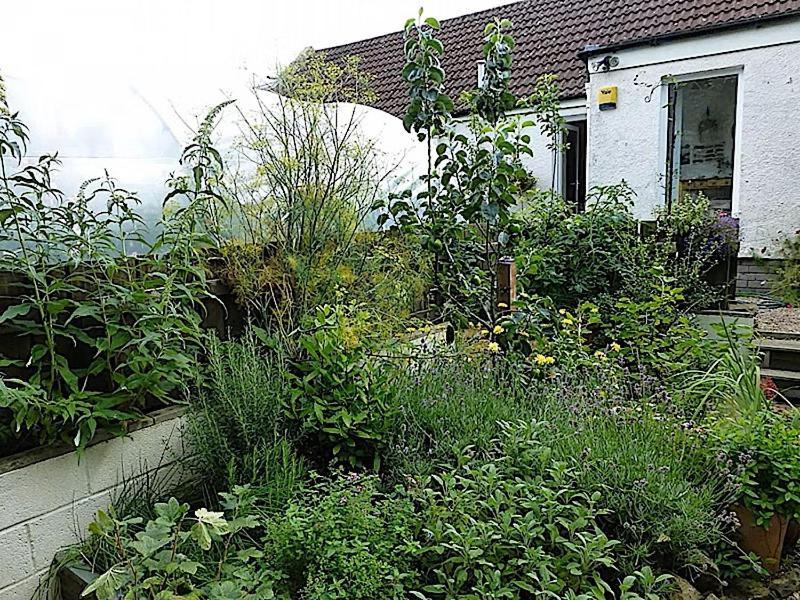 3 Bed Charming For Share ,, Private , Fibre Optik Broadband , Free Parking Couette-café Édimbourg